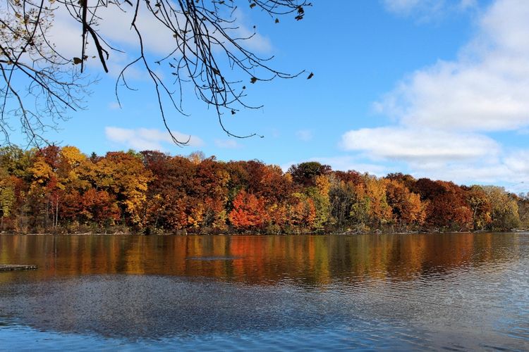 Homes for Sale and Realtors in the Sauk Prairie School District